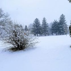 Cream Ridge Golf Course