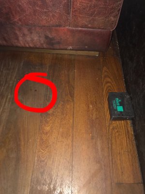 Red Dog Saloon Hoxton Square by null