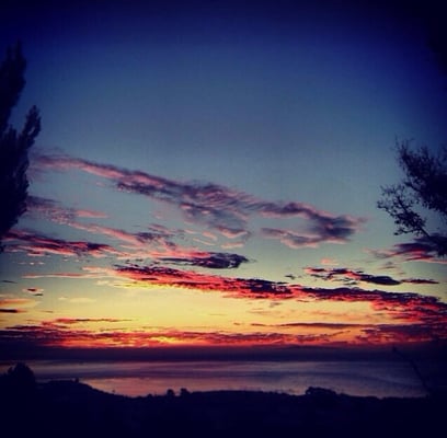 Payson Library by null