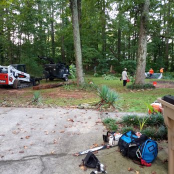 Cheap & Great Tree Services - Tree Services Near Me - Acworth, Georgia Cheap & Great Tree Services - Tree Services Near Me - Acworth, Georgia