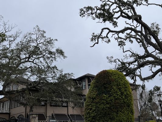 The Casements by null The Casements by null