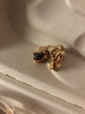 Rubio's Coastal Grill by null