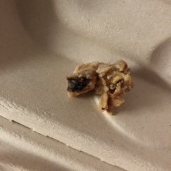 "Unfried" refried Side of Beans