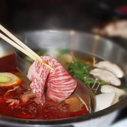 Taichi Pot Shabu Shabu - Intense Spiciness of Mala Dashi!