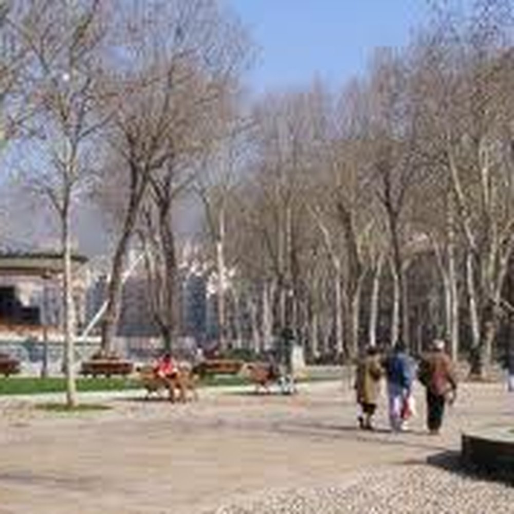 TOP 10 BEST Gutter Services near Tarriba, Cantabria, Spain - Updated 2026 -  Yelp