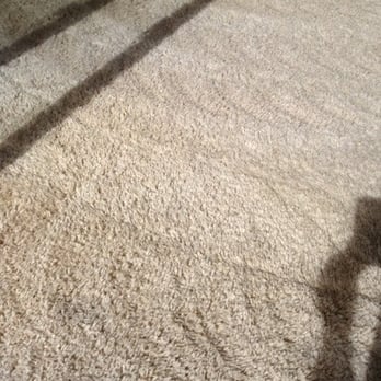 Steam Pro - Looks like new - Carpet Cleaning Near Me - Englewood, Colorado Steam Pro - Looks like new - Carpet Cleaning Near Me - Englewood, Colorado