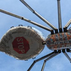 Giant License Plate Spider - Underneath