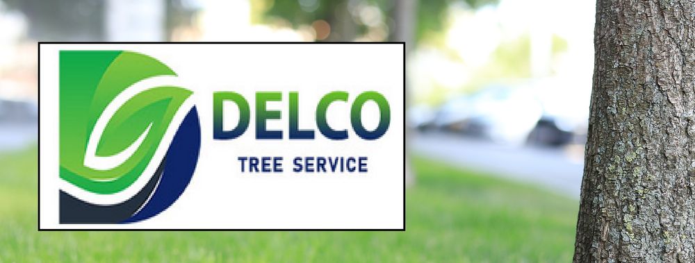 Delco Tree Service - tree service in Indianapolis, IN