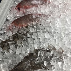 Buddy's Seafood & Bait