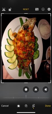 Star of Siam by null