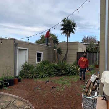 Ramces Tree Services - Tree Services Near Me Ramces Tree Services - Tree Services Near Me