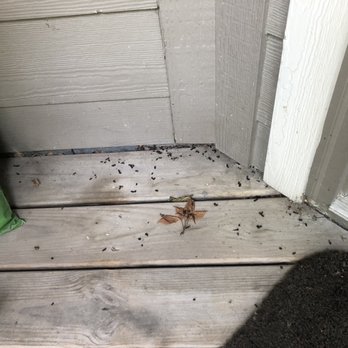 River Park By Broadmoor - Mouse feces - Apartments Near Me - Council Bluffs, Iowa River Park By Broadmoor - Mouse feces - Apartments Near Me - Council Bluffs, Iowa