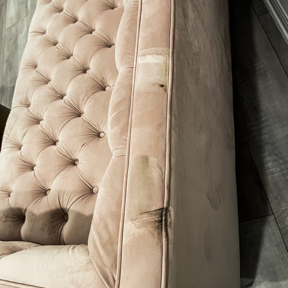 Craigslist Free Sofa Chicago Baci Living Room