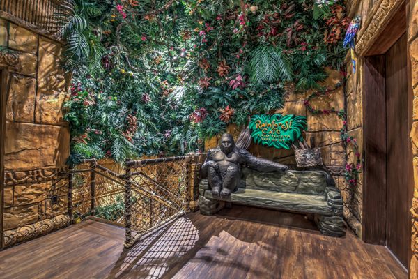 Rainforest Cafe by null