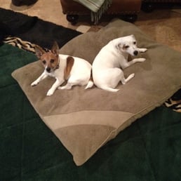 Sammy & Lexi