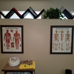 Vitalize Spine Care