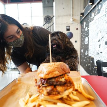 Matt’s Burger Lab - Burgers Near Me - Toronto, Ontario