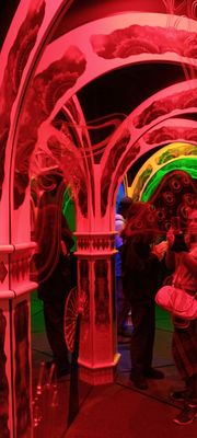 Magowan's Infinite Mirror Maze by null