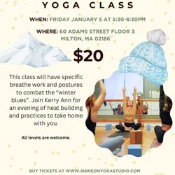 Shine On Yoga and Wellness - January's pop up event!
