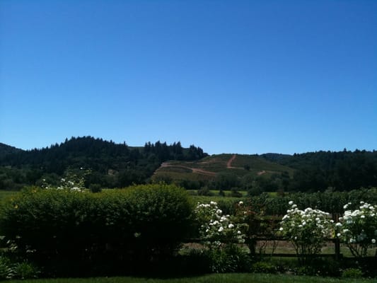 Dutcher Crossing Winery by null