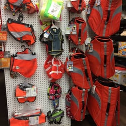 G & E Pharmacy - Doggie water safety!