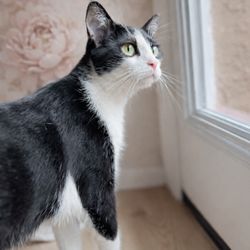 Billie And Lulu's - Meet Billie -- our store's namesake and Natasha's furry best friend. She's part of the heart behind Billie & Lulu's