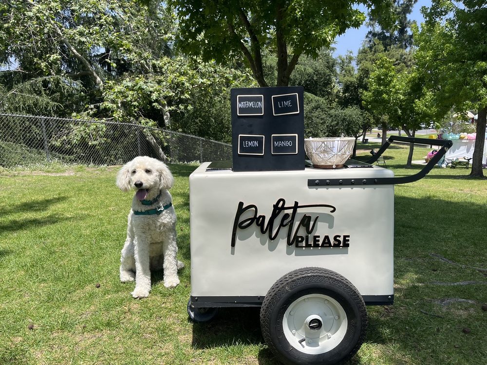 The Cart Collective Logo