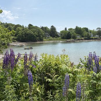 Ulin Point And Lupine Field - Parks Near Me - Bristol, Maine Ulin Point And Lupine Field - Parks Near Me - Bristol, Maine