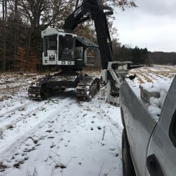 A Cut Above Tree Service and timber harvesting