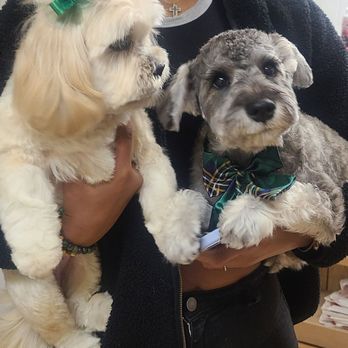 Perfect Pet Salon - Pet Groomers Near Me - Concord, California Perfect Pet Salon - Pet Groomers Near Me - Concord, California