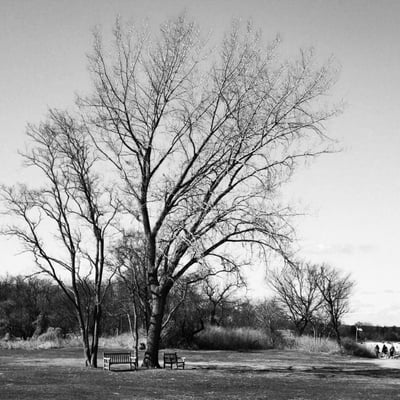 Greenwich Point Park by null