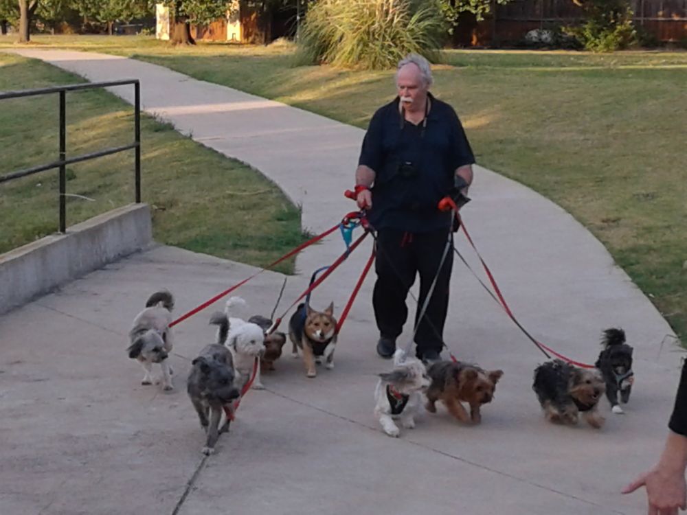 Larry's Doggie Care and Boarding - pet boarding facility in Irving, TX