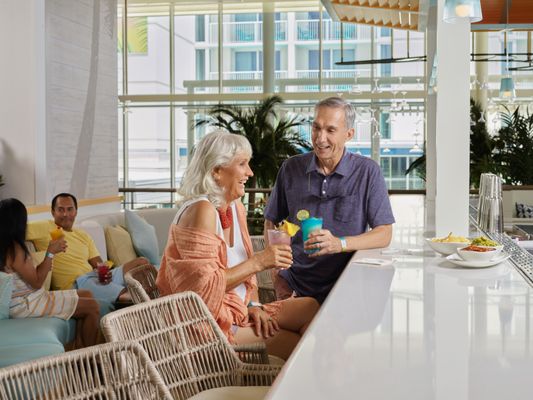 License to Chill Bar & Café by null