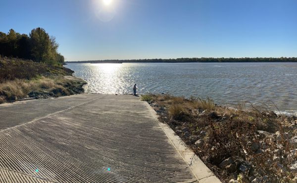 Meeman-Shelby Forest State Park by null