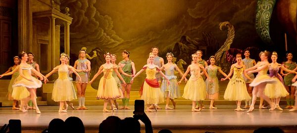 Metropolitan Opera House by null