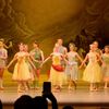 The Metropolitan Opera gift card