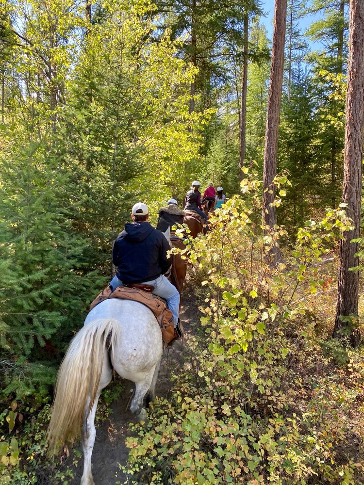 ARTEMIS ACRES PAINT HORSE RANCH 35 Photos & 34 Reviews 610 Patrick