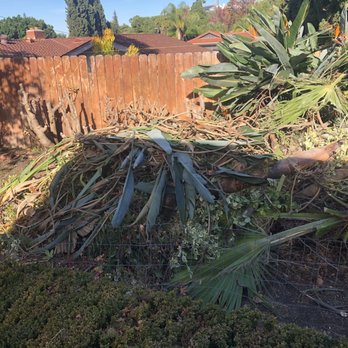Mathew's Hauling Junk Removal - Junk Removal & Hauling Near Me Mathew's Hauling Junk Removal - Junk Removal & Hauling Near Me