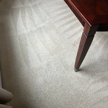 Busy Bee Carpet Cleaning - Carpet Cleaning Near Me - Dallas, Georgia Busy Bee Carpet Cleaning - Carpet Cleaning Near Me - Dallas, Georgia