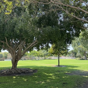Riverdale Park - Open field 08.05.25 - Parks Near Me - Anaheim, California Riverdale Park - Open field 08.05.25 - Parks Near Me - Anaheim, California