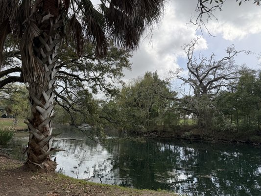 Audubon Park by null