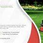 Photo of Mendez Lawn Care