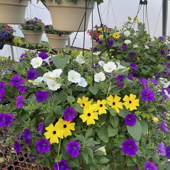 Maplewood Nursery - Growing so fast! - Nurseries & Gardening Near Me - Pelican Rapids, Minnesota Maplewood Nursery - Growing so fast! - Nurseries & Gardening Near Me - Pelican Rapids, Minnesota