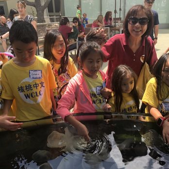 Walnut Chinese Language Center - Fun, educational summer field trips to the aquarium and more! Contact us for more information about our Summer Camp! - Language Schools Near Me - Walnut, California