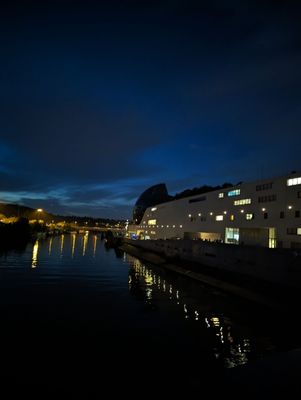 La Seine Musicale by null