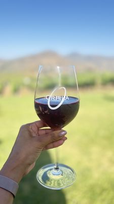 Orfila Vineyards and Winery by null