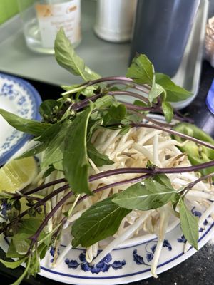 Phở Little Saigon by null