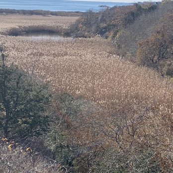 Norman Bird Sanctuary - Venues & Event Spaces Near Me - Middletown, Rhode Island