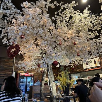 Sushi Kadan - Sushi Bars Near Me - Carrollton, Texas Sushi Kadan - Sushi Bars Near Me - Carrollton, Texas