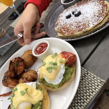 River Vine - Eggs Benedict Lemon Bellwether Farms Ricotta Pancakes - Breakfast & Brunch Near Me - Santa Rosa, California River Vine - Eggs Benedict Lemon Bellwether Farms Ricotta Pancakes - Breakfast & Brunch Near Me - Santa Rosa, California